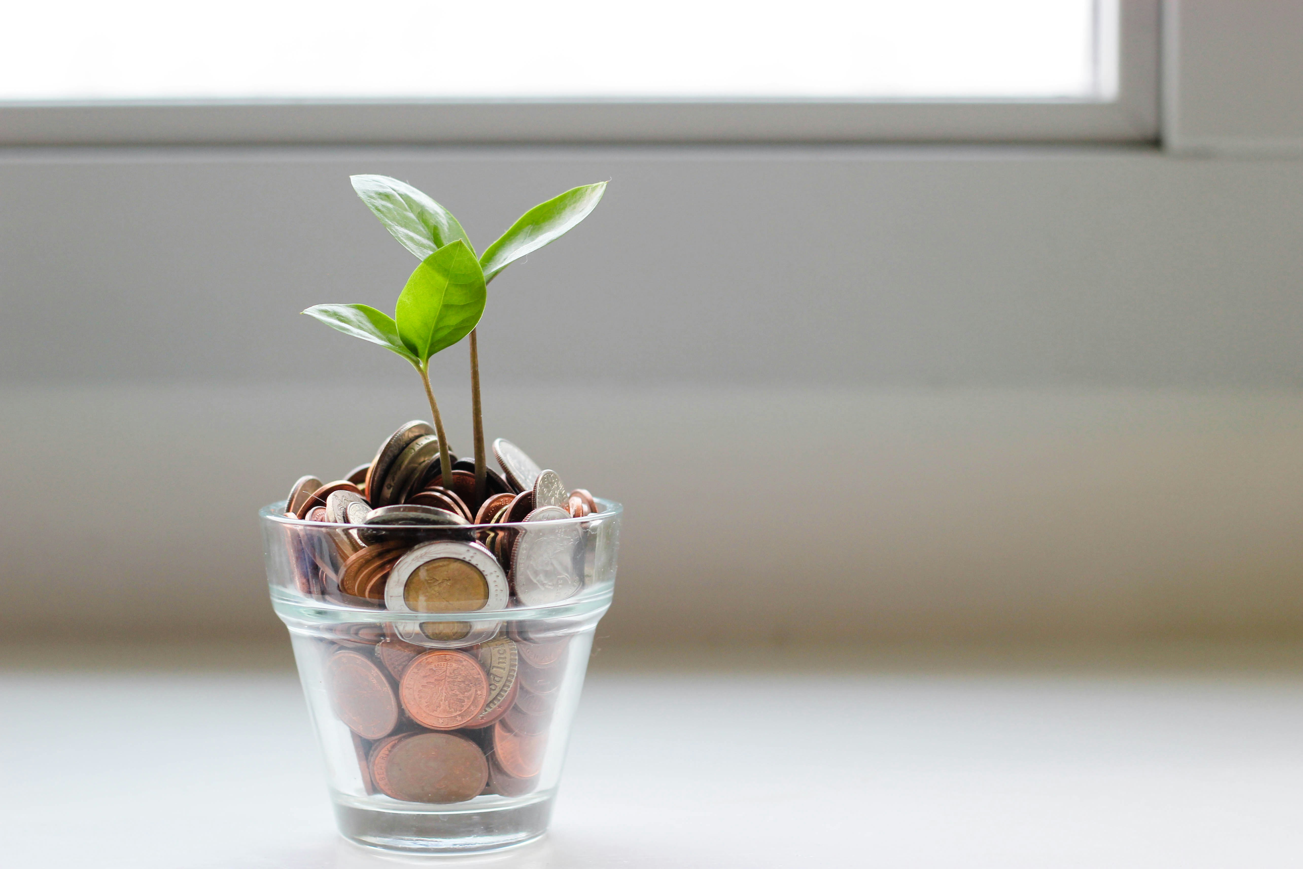 How to Budget When Your Money Keeps Disappearing